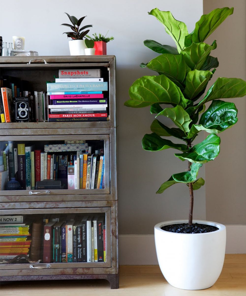 Quà tặng chia tay sếp nữ